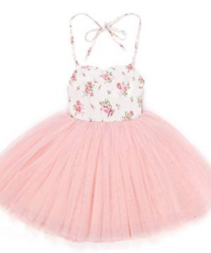 Flofallzique Baby Birthday Outfit Pink Toddler Tutu Dress