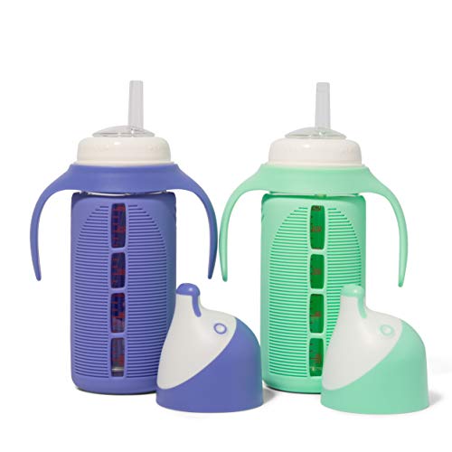 Set of 2 - Glass Sippy Cup for Toddlers - The Luca