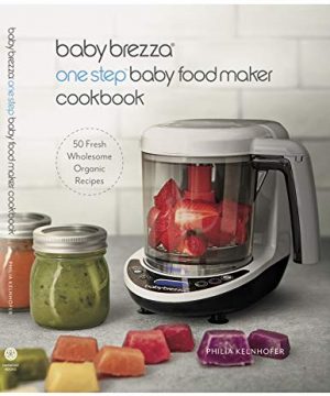 Baby or Toddler Food Cookbook Easy Puree and Whole Food Recipes