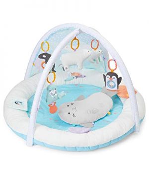 Carter's My Arctic Friends Baby Play Gym