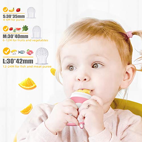 Organic Food Feeder Pacifier Baby Teething Toy
