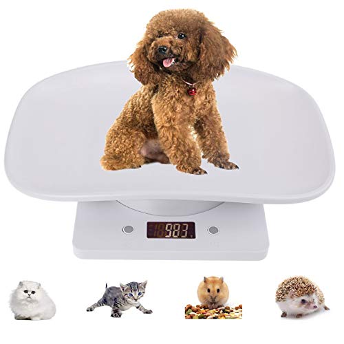 Pet Scale, Digital Body Weight Bathroom Scale