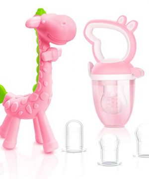Organic Food Feeder Pacifier Baby Teething Toy