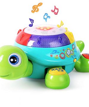 Musical Turtle Toy, English, Spanish Learning