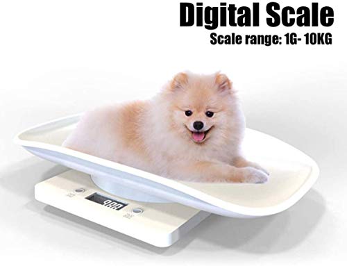 Pet Scale, Digital Body Weight Bathroom Scale