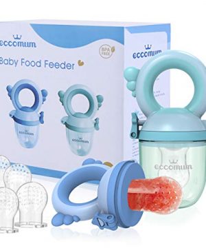 Eccomum Baby Food Feeder/Fruit Feeder Pacifier