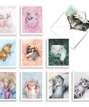 Fluffy Furballs - 20 Adorable Baby Kitten Invitations with Envelopes