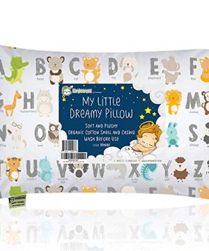 Toddler Pillow with Pillowcase - 13X18 Soft Organic Cotton