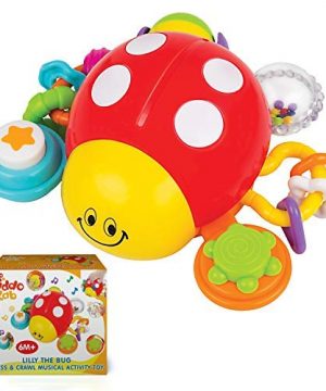 KiddoLab Lilly The Bug, Press, Crawl Musical Activity Toy.