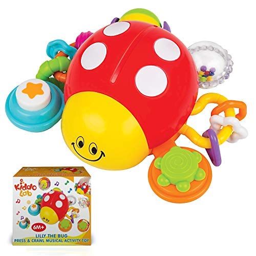 KiddoLab Lilly The Bug, Press, Crawl Musical Activity Toy.