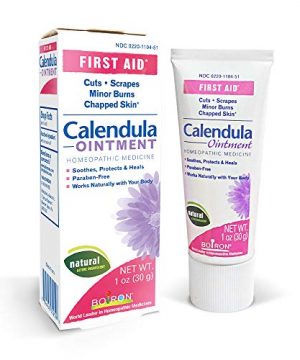 Homeopathic First Aid Ointment Scrapes, Minor Burns