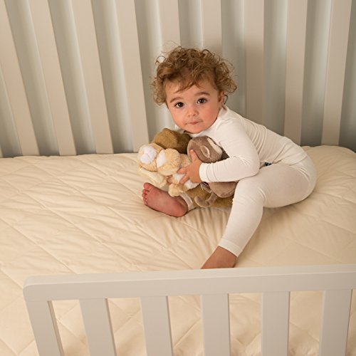 Kolcraft Pure Sleep Therapeutic 150 Waterproof Toddler