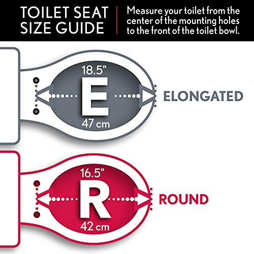 Toilet Seat with Built-In Potty Training Seat
